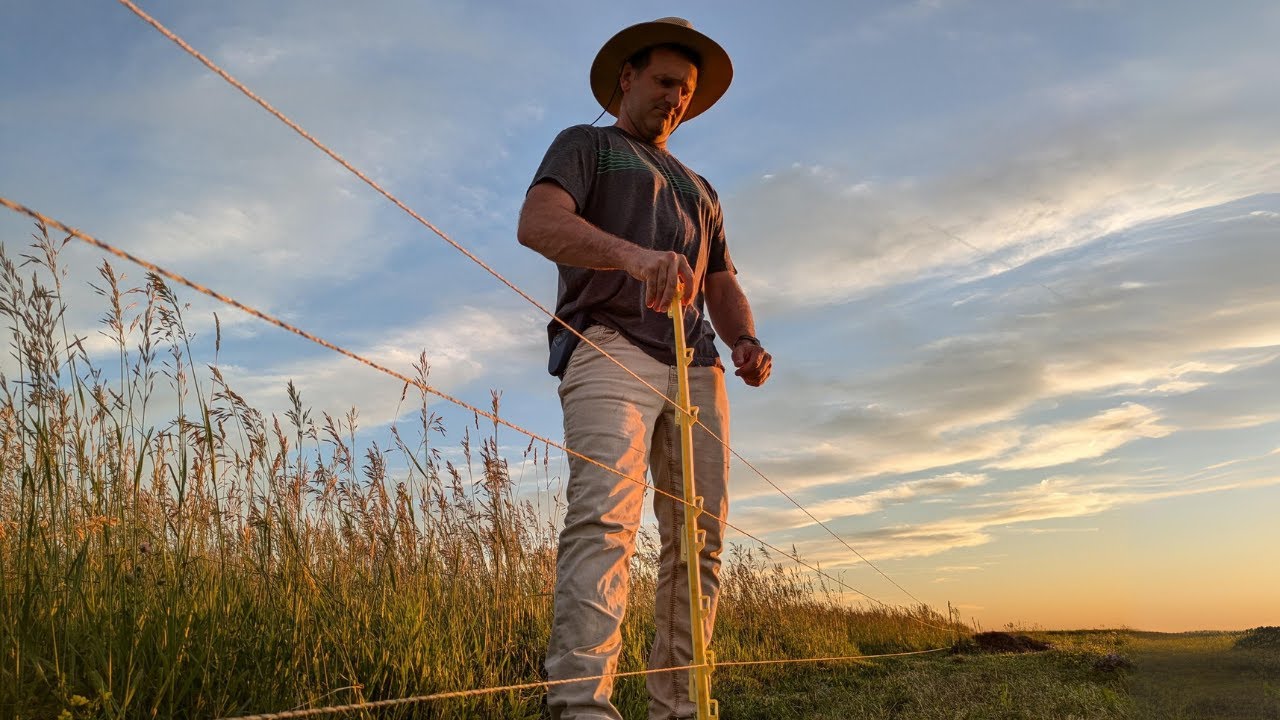 Easily relocate electric fence with poly wire and step in posts