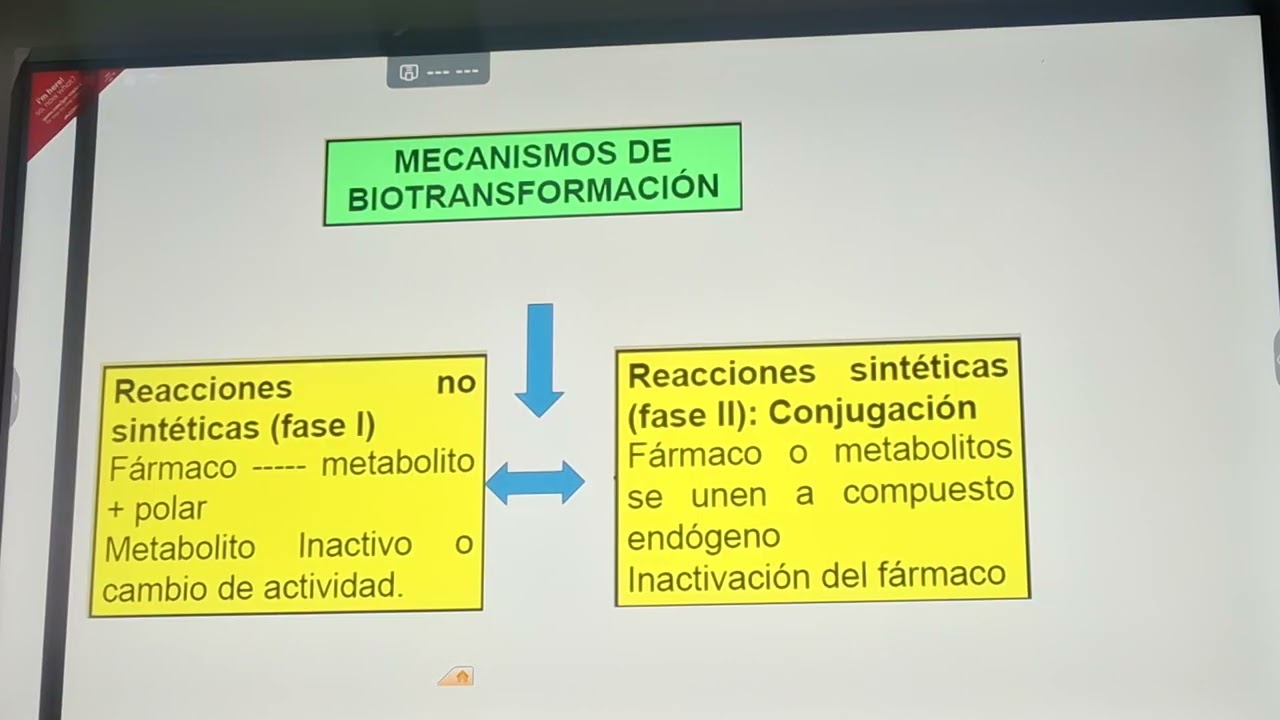 Farma 23 de feb 