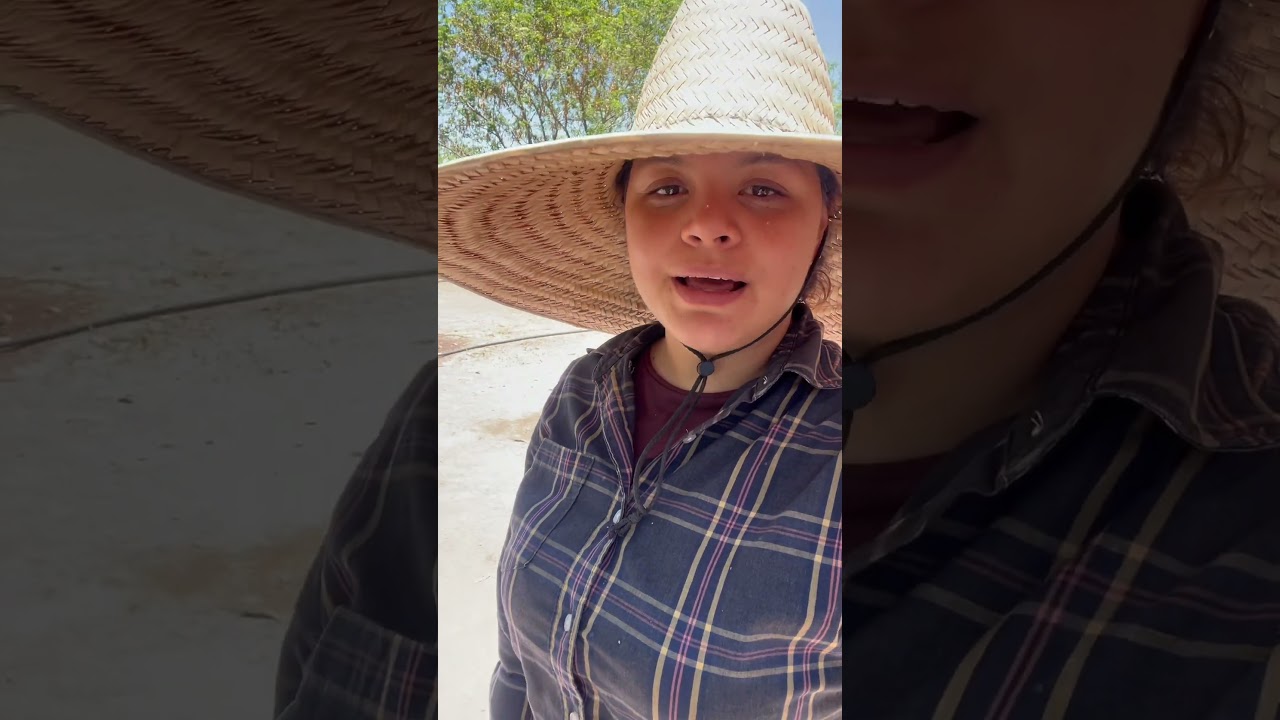 Planta de nopal para una nueva nopalera