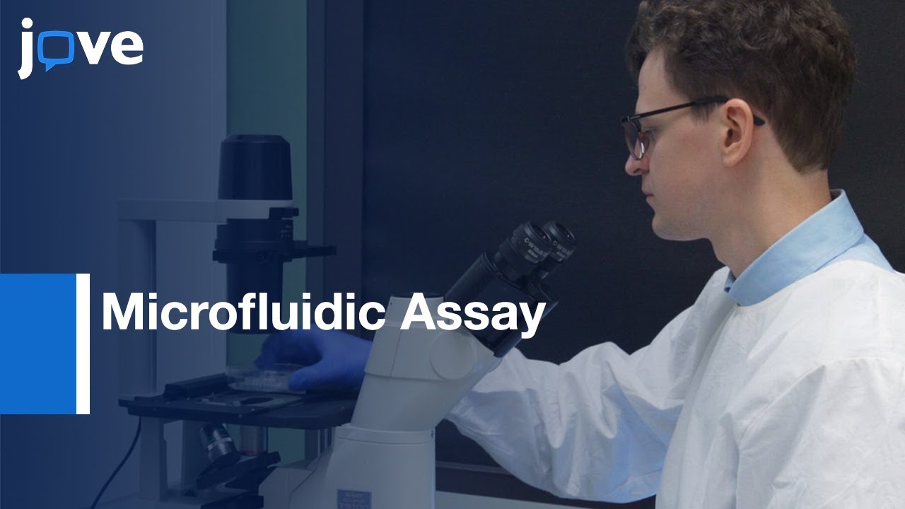 Microfluidic Assay for assessing Leukocyte Adhesion to hiPSC-ECs | Protocol Preview
