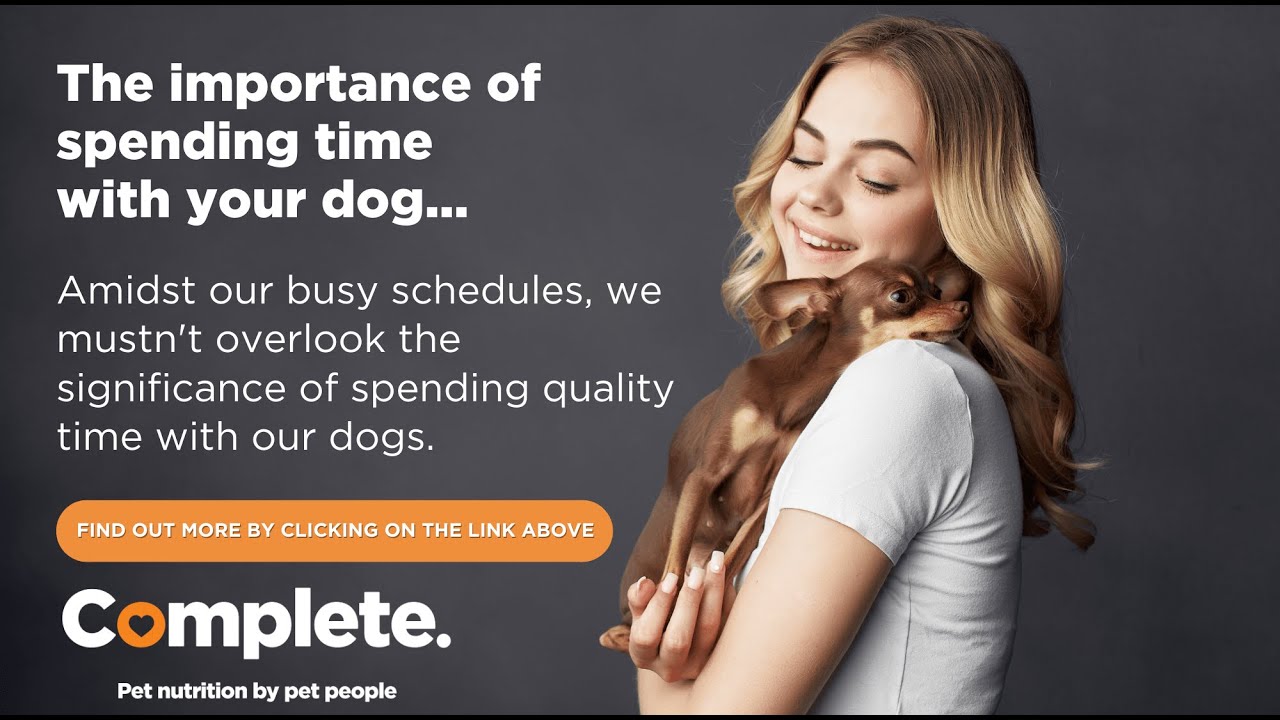 The Importance of Spending Time with Your Dogs