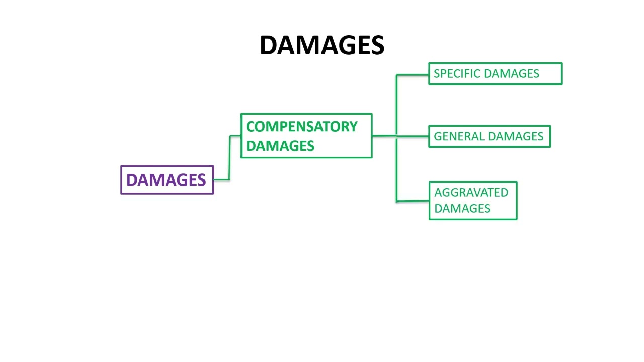 Civil remedies - damages