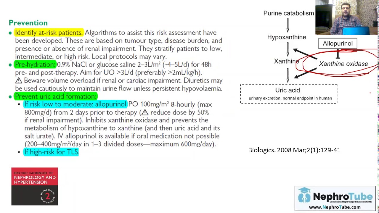 Tumor Lysis Syndrome (Arabic Language) - Dr. Gawad