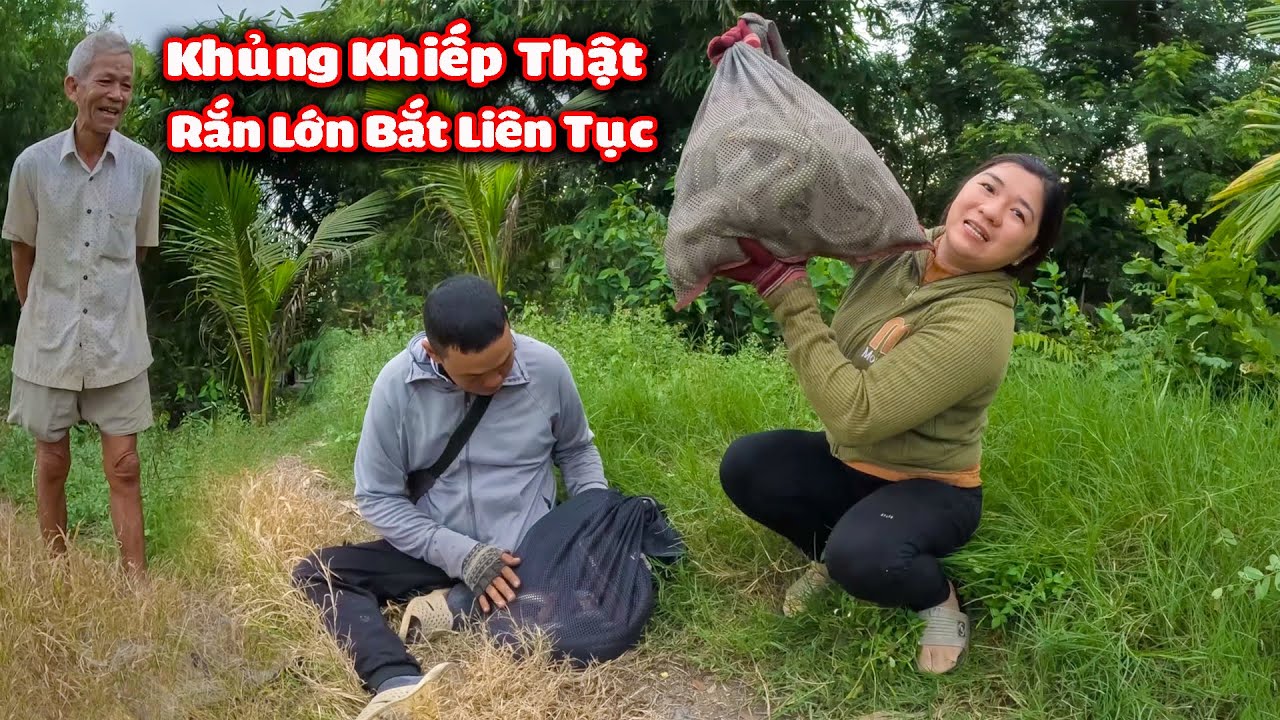 Không thể tưởng tượng được RẮN lớn mà dính cở này, Kỷ lục mới # CSBR # 346