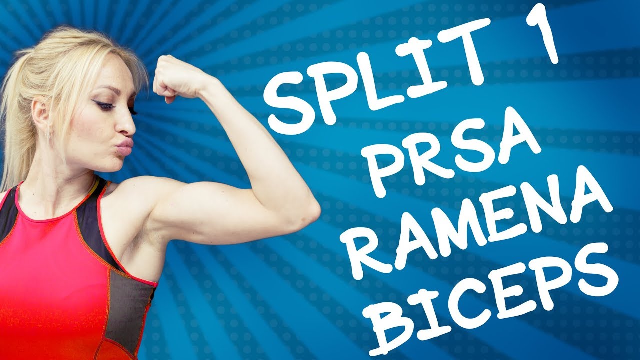 TRÉNINKOVÝ SPLIT: PRSA, RAMENA, BICEPS (trénink v posilovně)