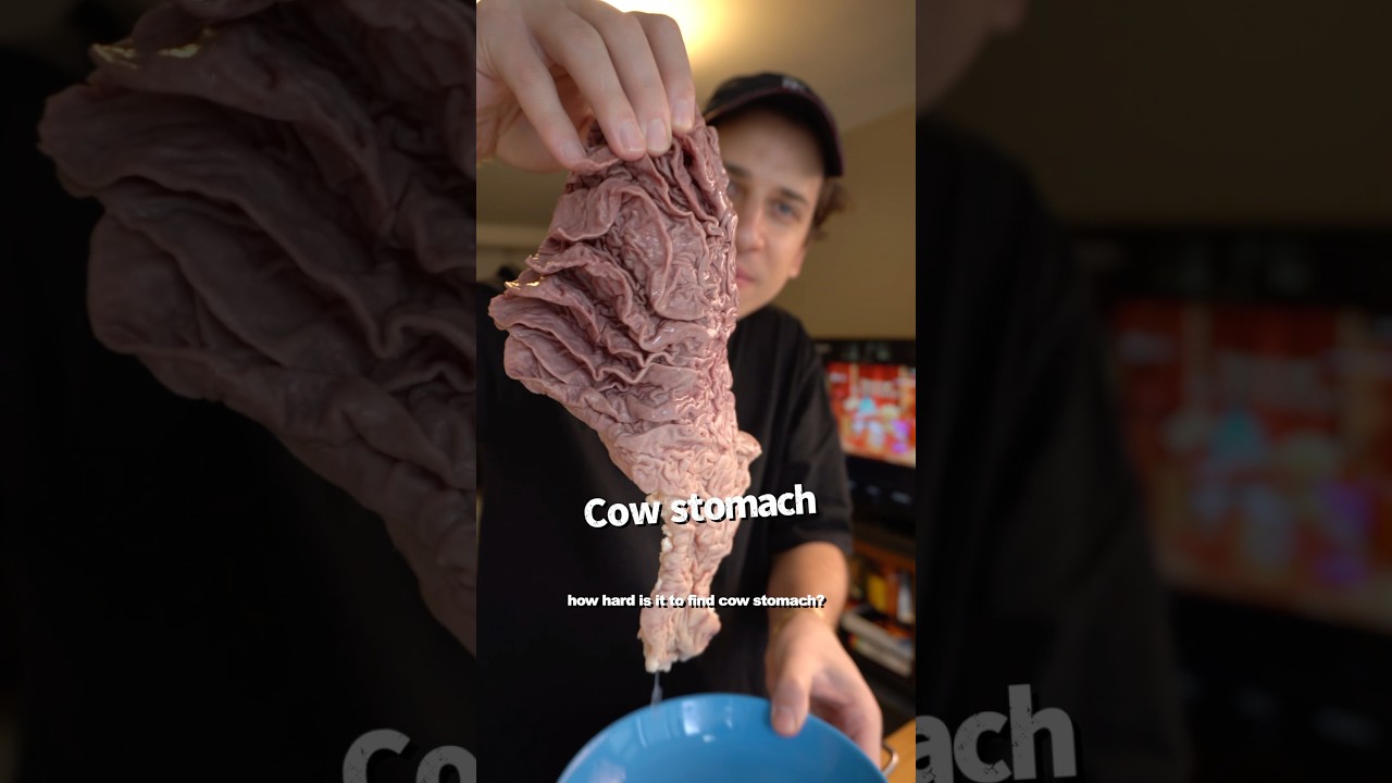 Cooking Italy&rsquo;s Best City Dish | Florence #shorts #Lampredotto #Florentine #ItalianStreetFood