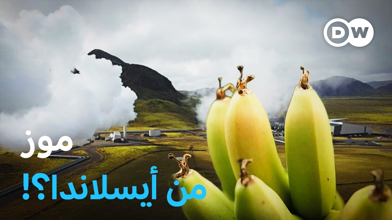 وثائقي | معجزة الزراعة في أيسلندا - كيف تُستخدم الطاقة البركانية في الزراعة | وثائقية دي دبليو
