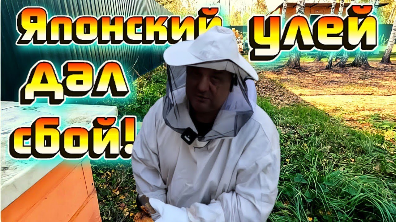 Грустная история с ароматом меда.