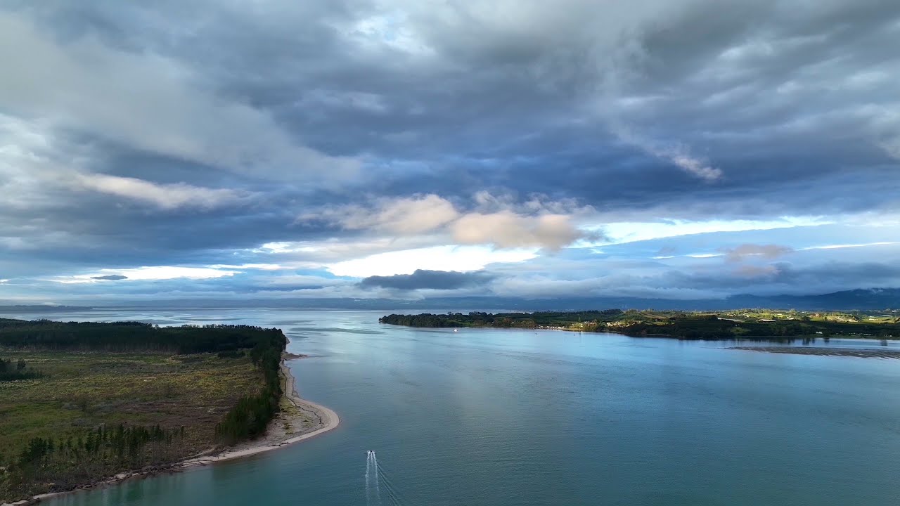 New Zealand Harbour Fishing at it’s Best