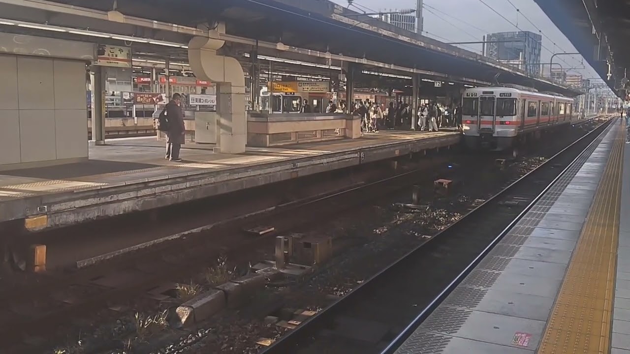 [ひだ15号と同士]313系B503編成名古屋到着