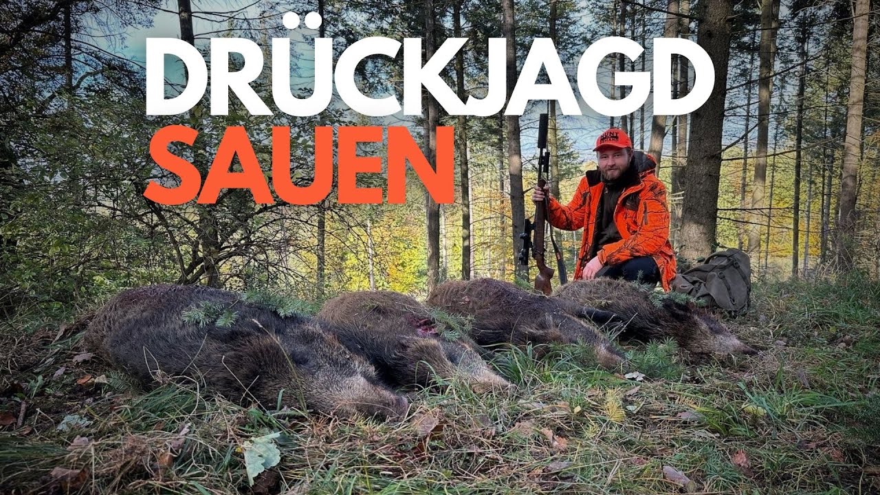 DR&Uuml;CKJAGD STORIES - Mehr Sauen als je zuvor - Best of mit der Driven Hunt!