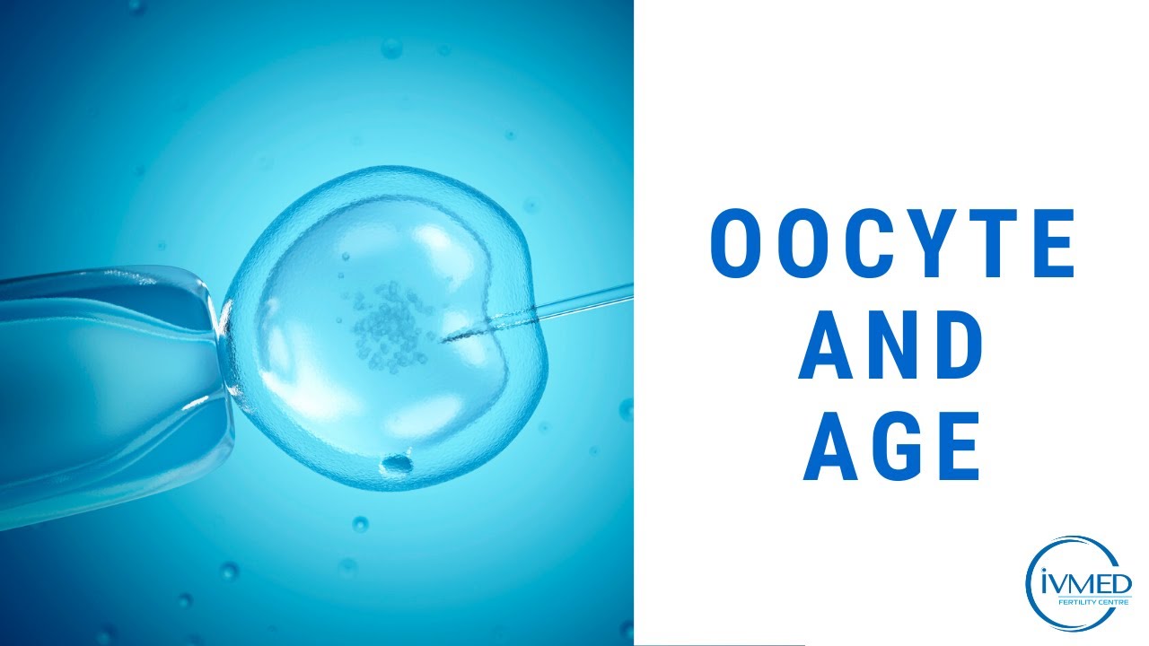 MD, PhD Galina Strelko. Oocytes and age | IVMED Fertility Centre | #oocyte #ivf #fertility