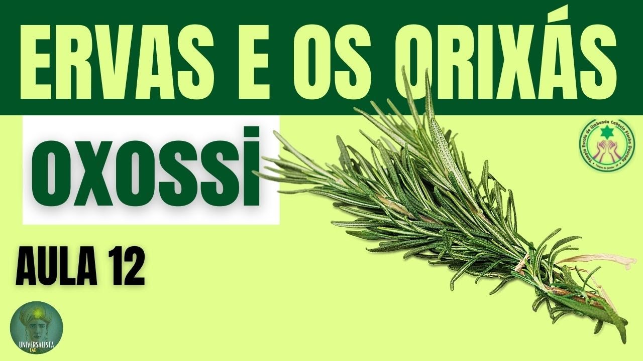 FOLHAS DE OXOSSI CURSO ERVAS E OS ORIXÁS