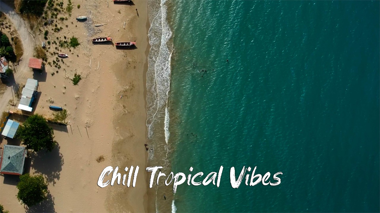 Chill Tropical Vibes