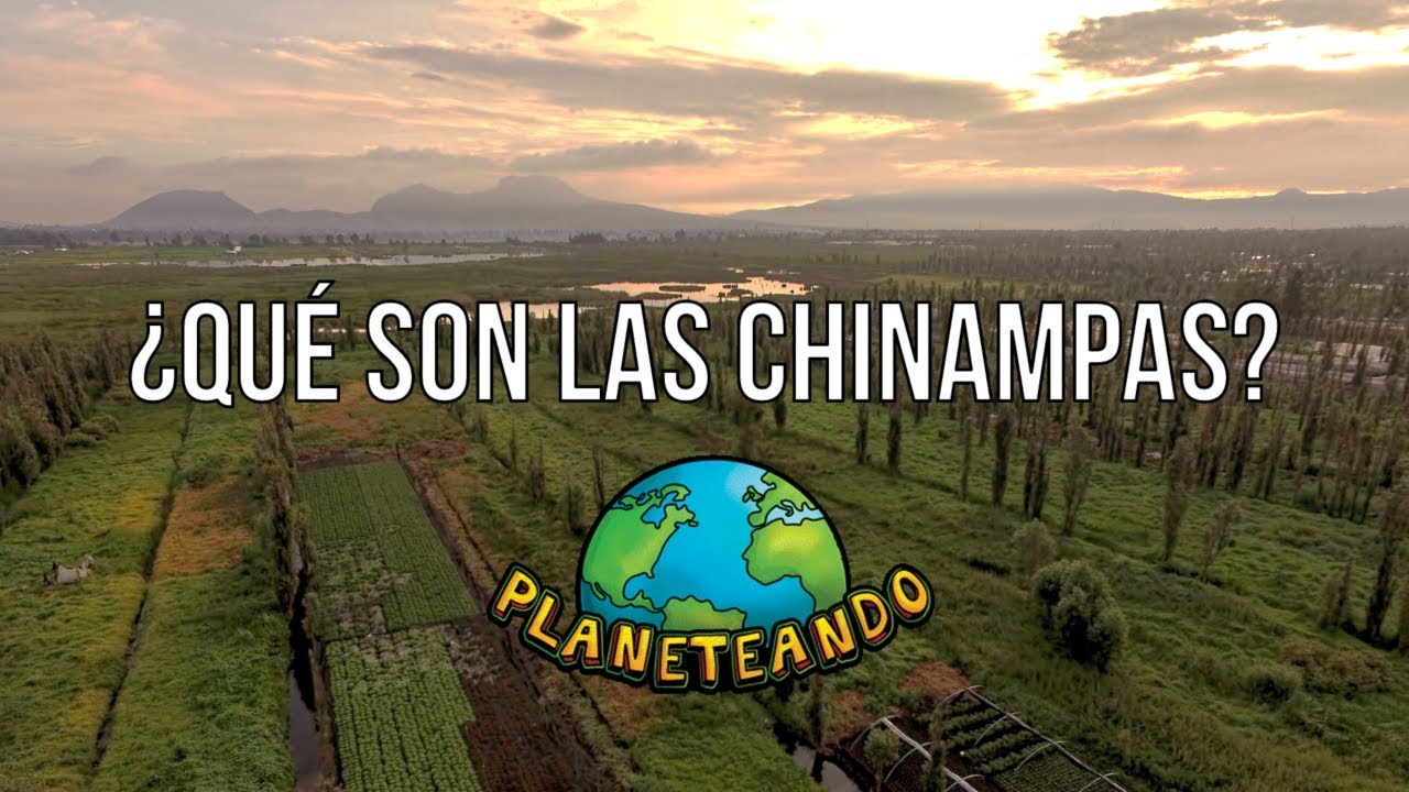 Chinampas de San Gregorio Atlapulco: donde la tradición y la agricultura se unen