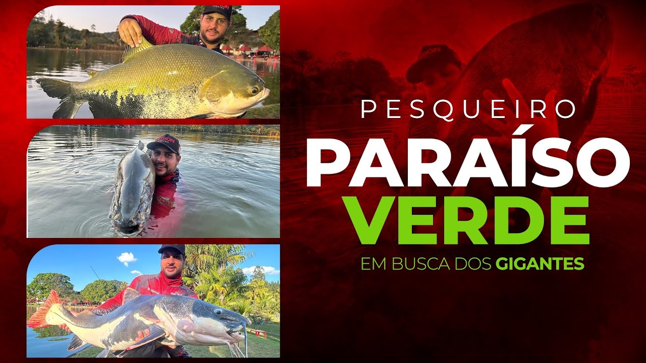 PARAISO VERDE - ESSE LUGAR NÃO EXISTE INVERNO - PEIXE COMENDO MUITO NA SUPERFICIE O DIA TODO