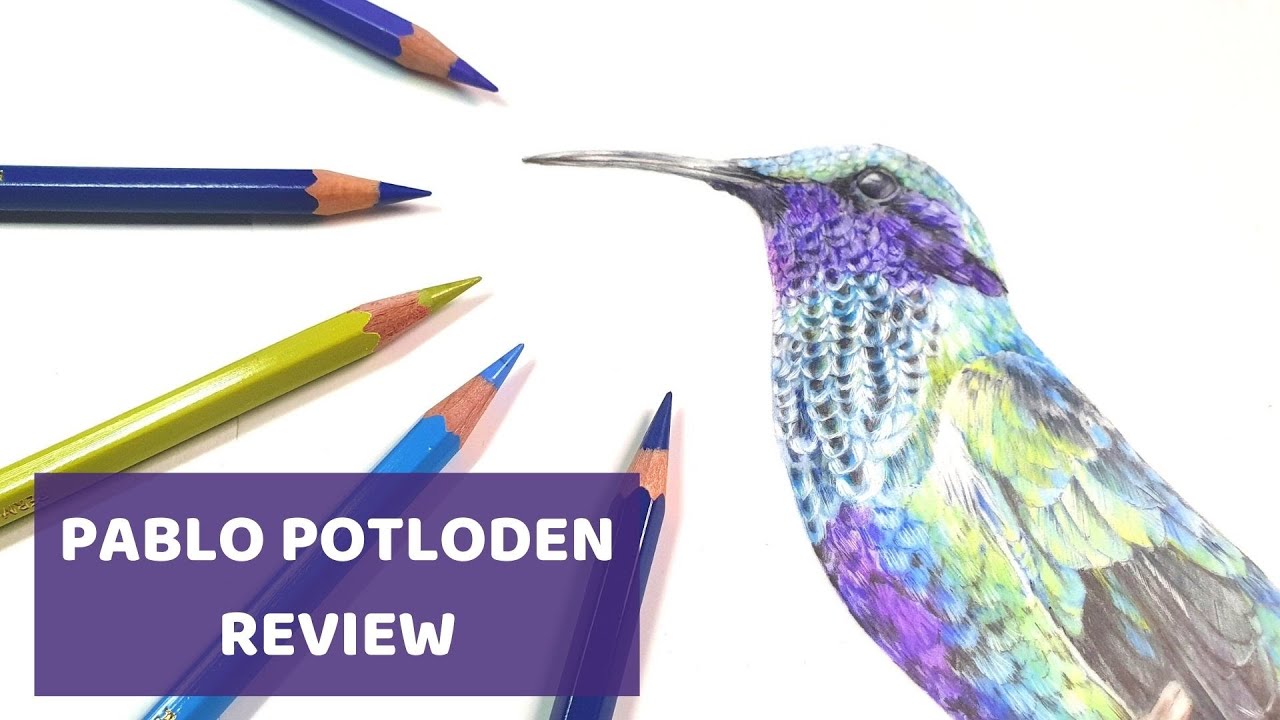 De mooiste kleuren? Caran d'ache PABLO review | LEREN TEKENEN voor beginners