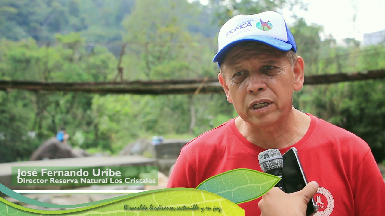 PROYECTOS CIUDADANOS  DE EDUCACIÓN AMBIENTAL
