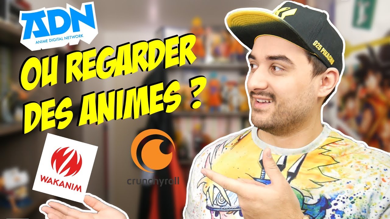 OU REGARDER DES ANIMES ?
