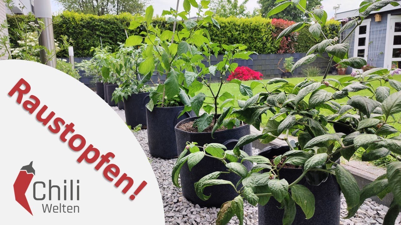 Es wird Sommer - Saison 2023 #09