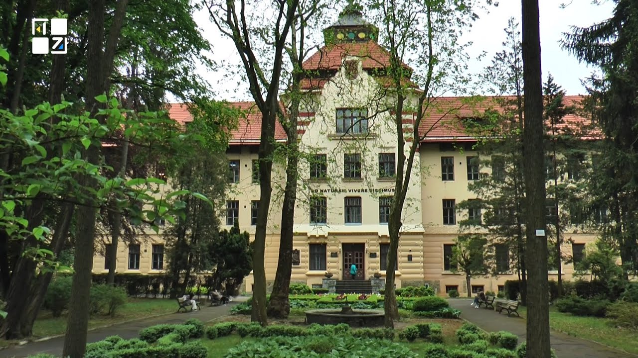 Що пропонує для студентів Національний лісотехнічний університет у Львові