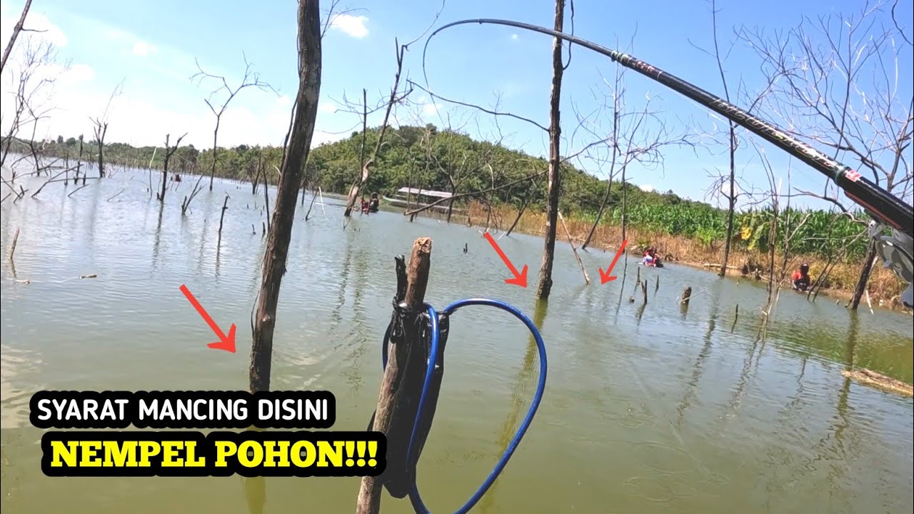 SAYA YAKIN!!!! SETELAH INI PASTI BANYAK PEMANCING YANG AKAN DATANG KESINI