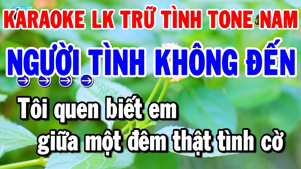 Karaoke Liên Khúc Nhạc Sống Dễ Hát Tone Nam 2026 | Người Tình Không Đến - Chiều Sân Ga | Thanh Hải