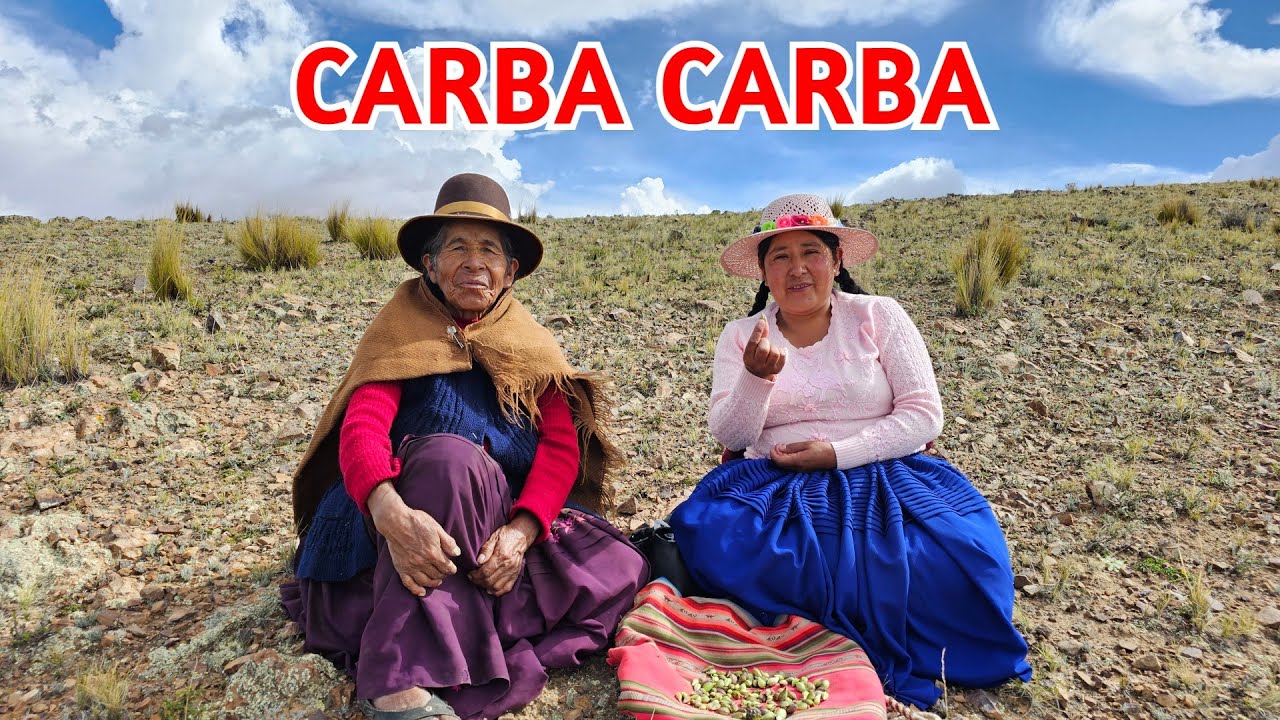 CARBA CARBA delicia del altiplano  | CHOLITA ISABEL