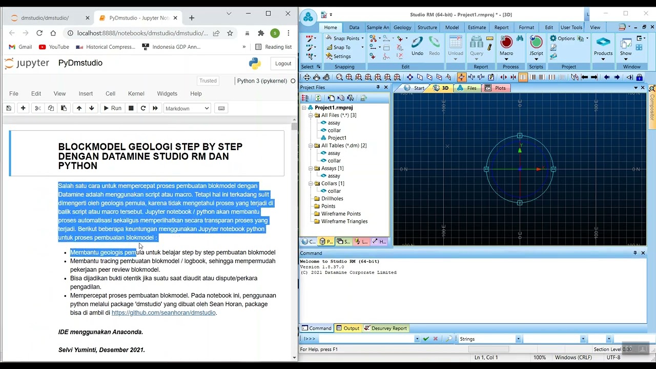 Pembuatan Blokmodel Geologi Dengan Datamine Studio RM dan Python Package
