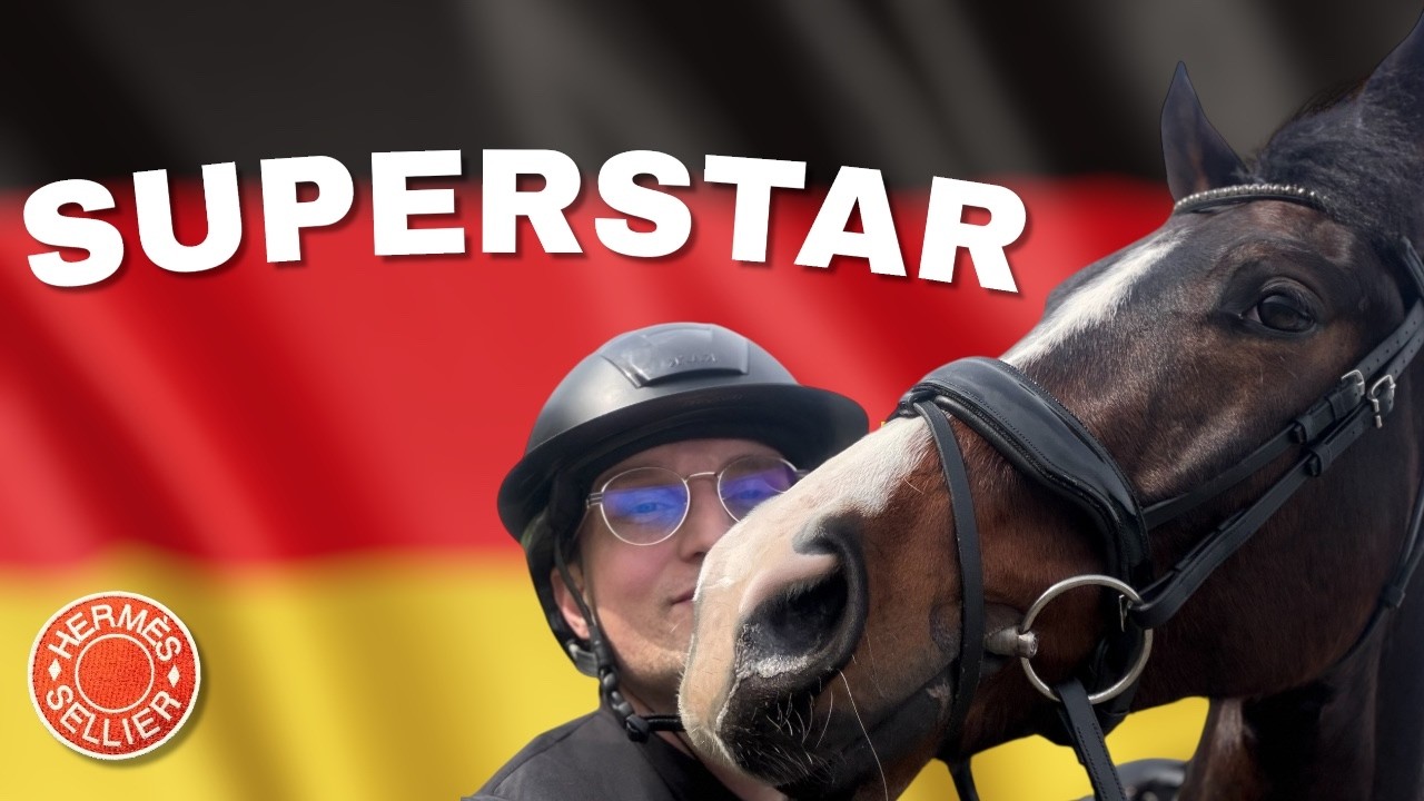 IMMERSION DANS LE DRESSAGE ALLEMAND (une masterclass de folie)