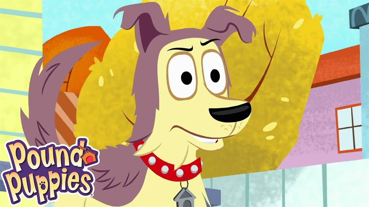 Pound Puppies | Catcalls | Season 1 | Pet Cartoon