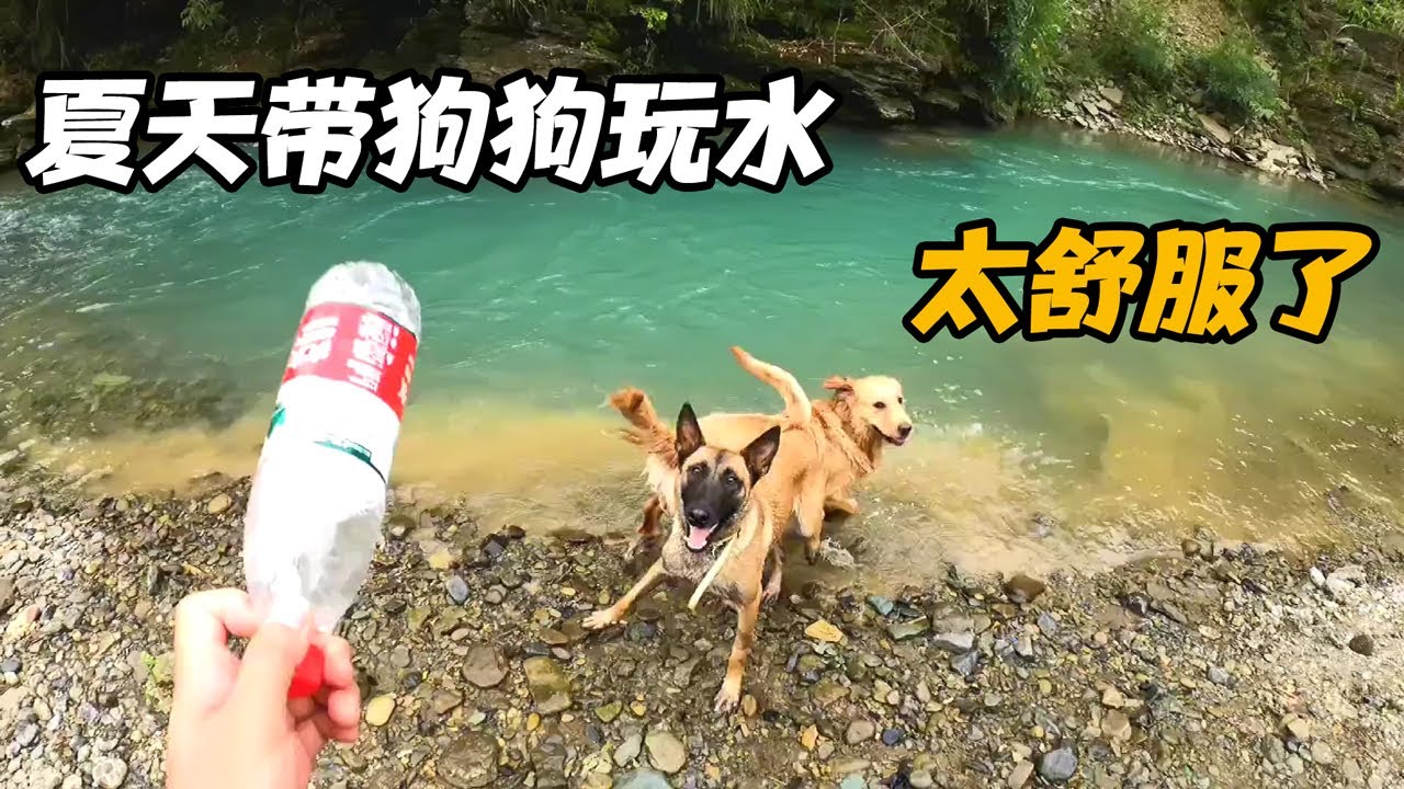 自驾游回到贵州，带着安妮和波妞去耍水，这个夏天太爽了【小白的奇幻旅行 】