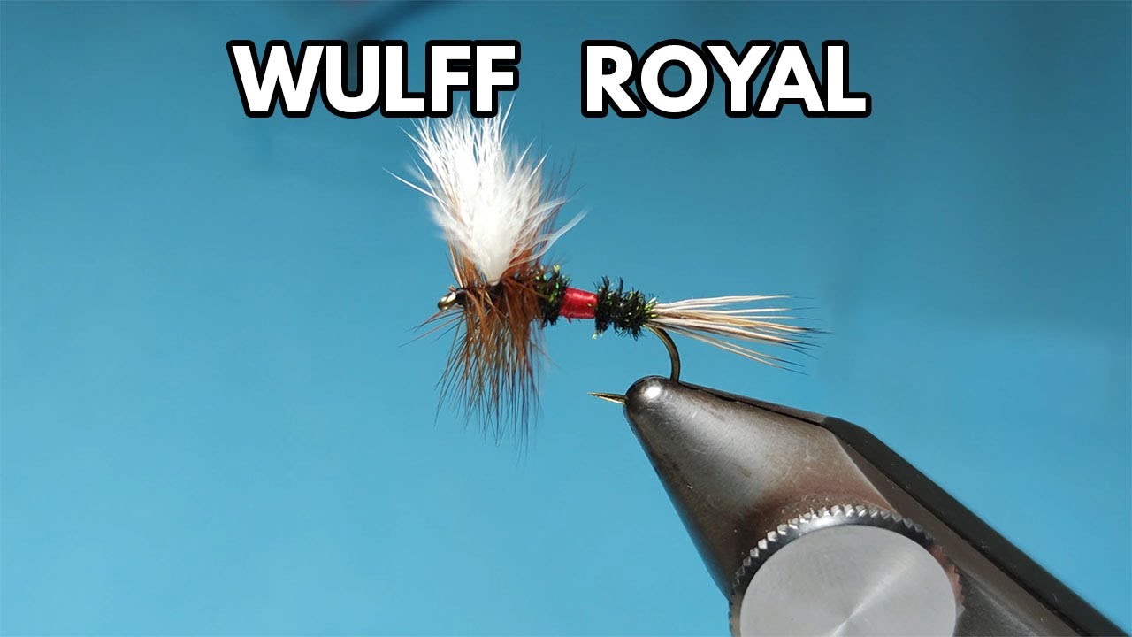 Royal Wulff
