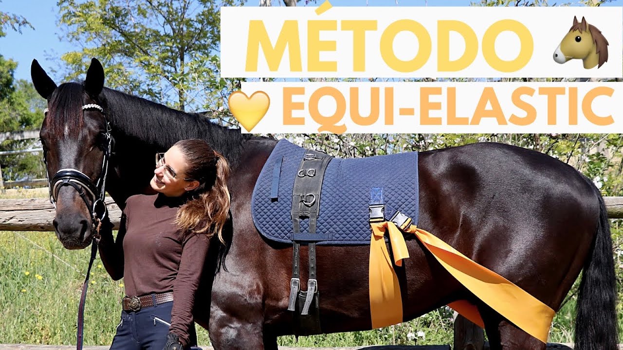 Trabajo a la cuerda caballo - EQUIELASTICS