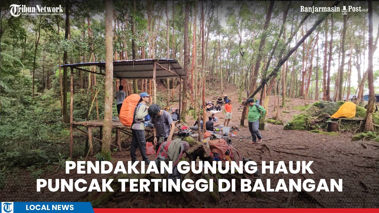 Pendakian ke Gunung Hauk, Jalur Hutan Kayu Habang Bikin Andi Jatuh Cinta