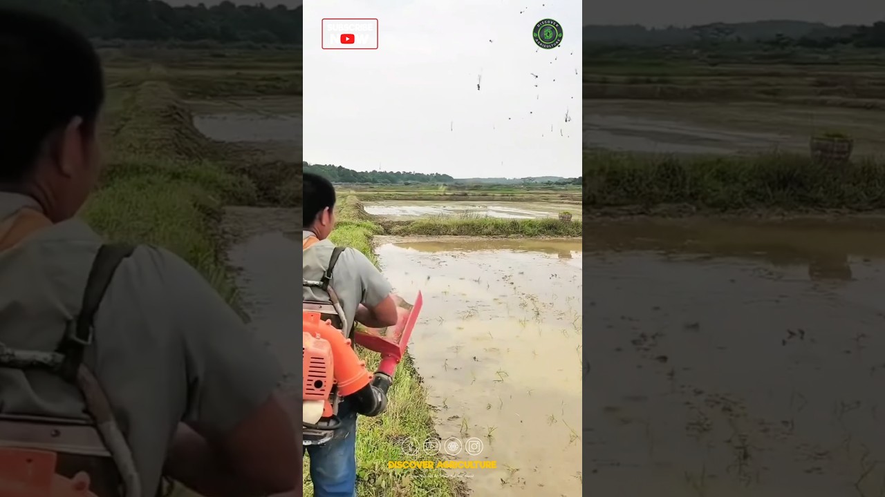 New Rice Planting Machine