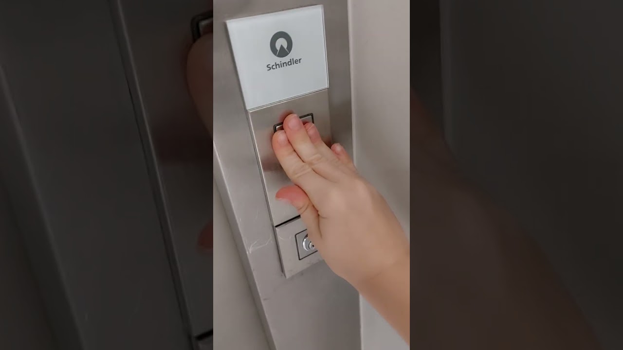 Lifttour Galeria poznania w poznaniu i jeszcze był pszypał