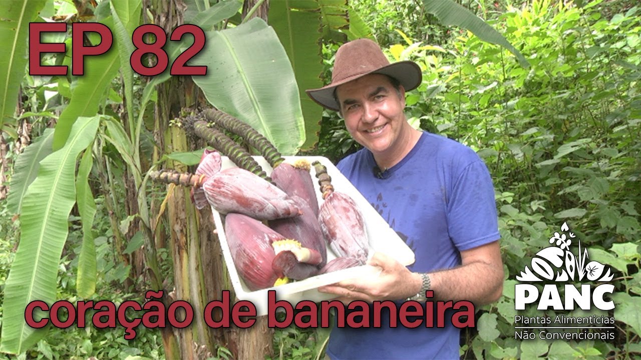 EPISÓDIO 82 - CORAÇÃO DE BANANEIRA | #pancnaveia #valdelykinupp