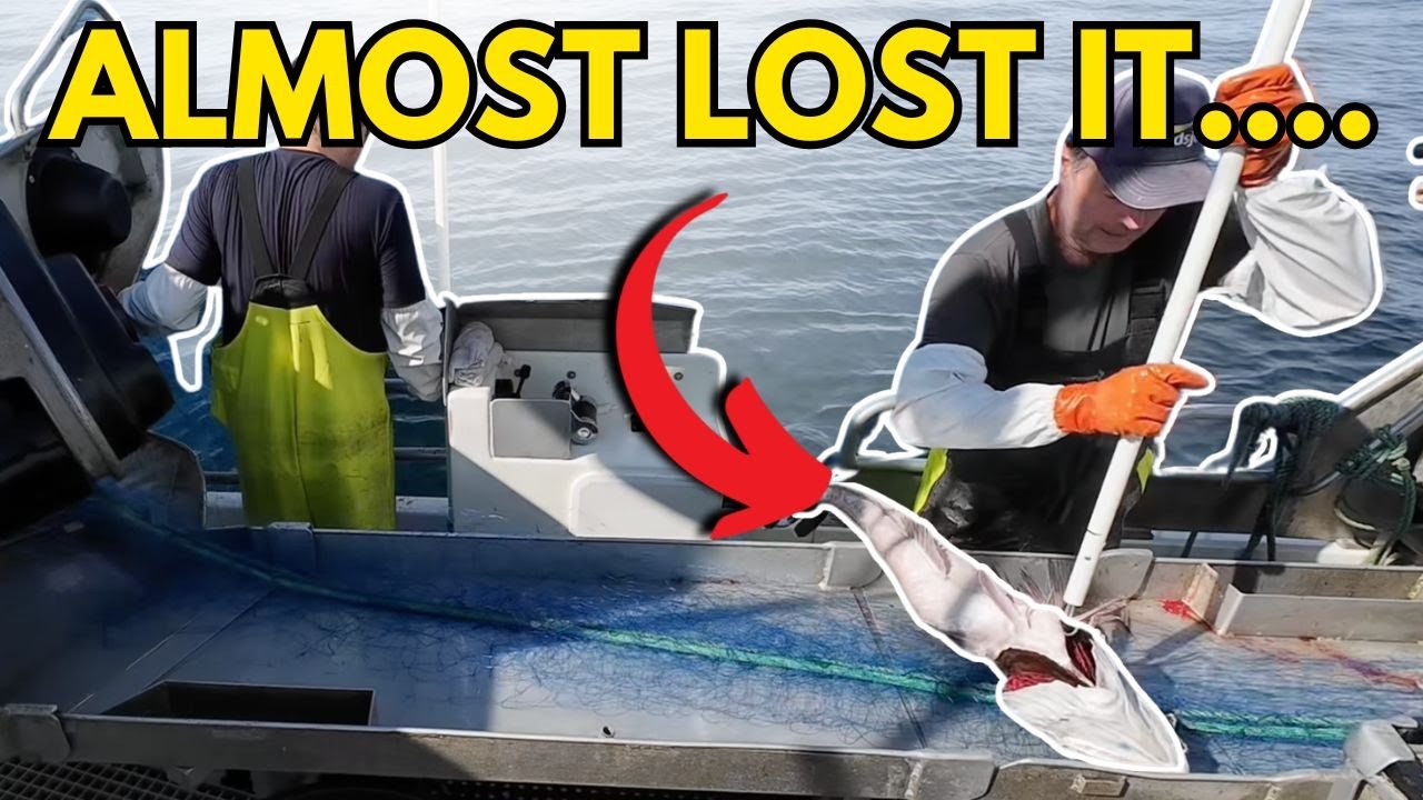 120 Monkfish Nets & Hake Drama (North Sea + Fjord) #4
