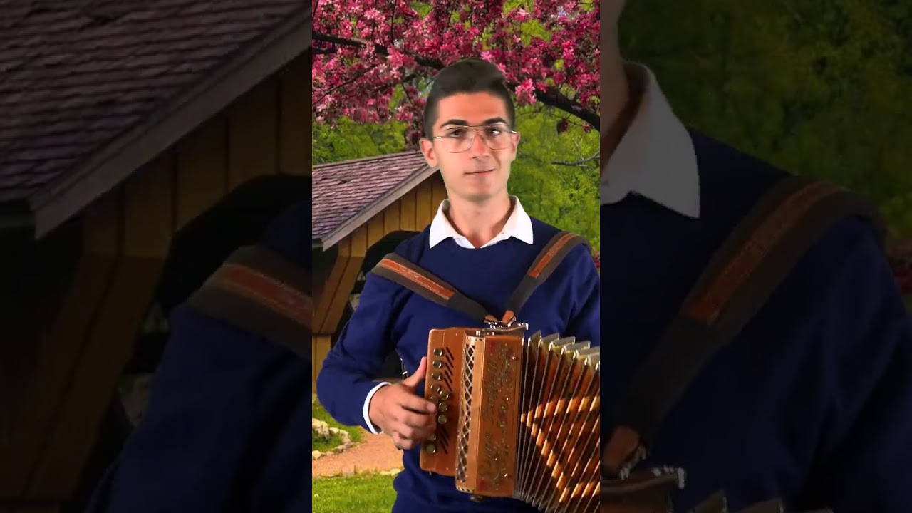 Tacco e Punta - Ballo di Gruppo eseguito da Angelo Lucarelli #shorts #organetto #fisarmonica