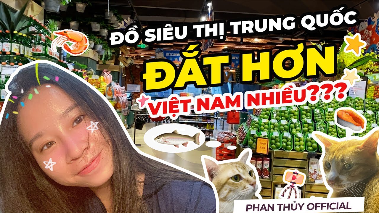 Hàng Hóa Ở Siêu Thị Trung Quốc ĐẮT Hơn Ở Việt Nam? | Phan Thủy