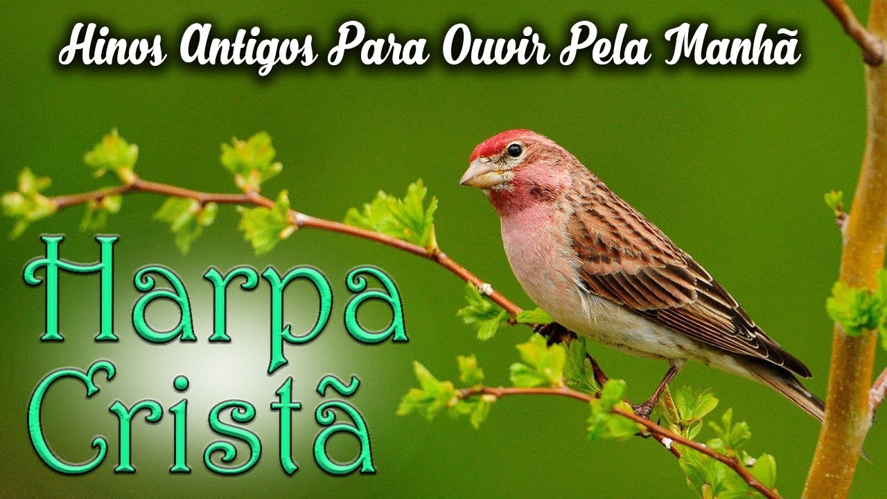 Hinos da Harpa Crist&atilde; - Hinos Antigos Para Ouvir Pela Manh&atilde; - Os Mais Tocados