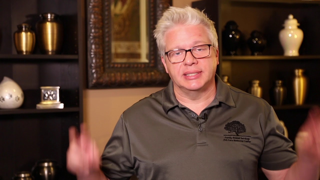 Top 10 Questions For Pet Cremation Services