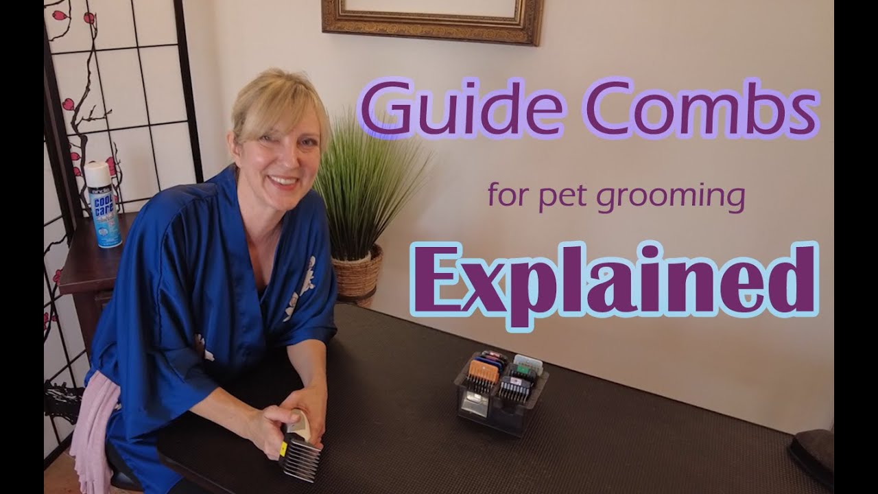 Guide Combs for Pet Grooming Explained - Gina's Grooming