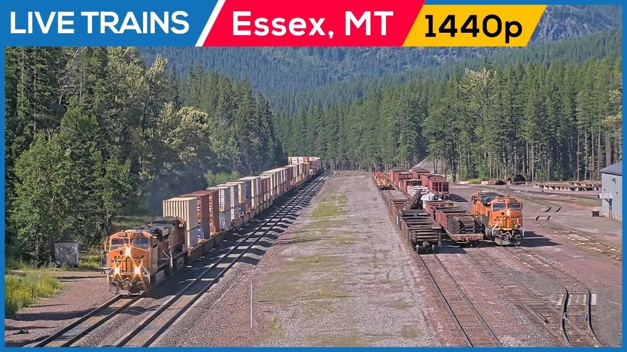 🔴LIVE Trains Railcam | Essex, Montana