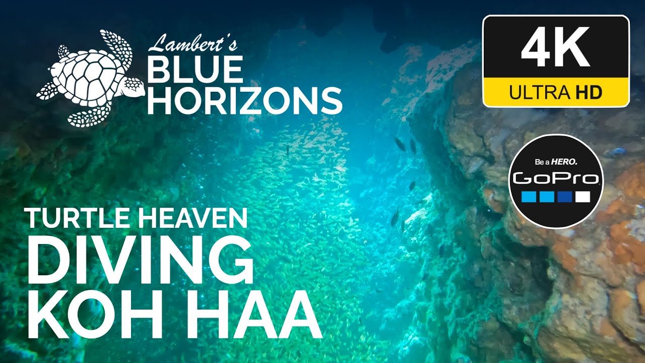 4K Turtle Heaven: An Underwater Realm of Tranquility - Diving Koh Haa, Thailand