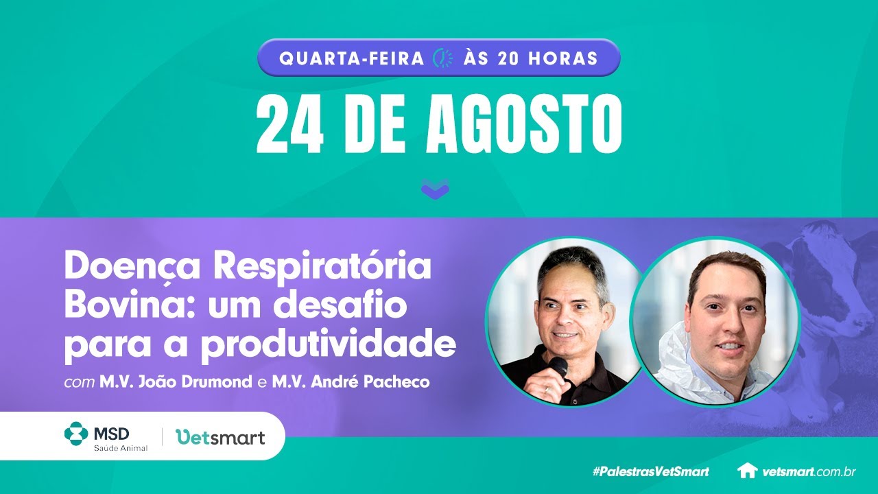 Doença Respiratória Bovina: um desafio para a produtividade
