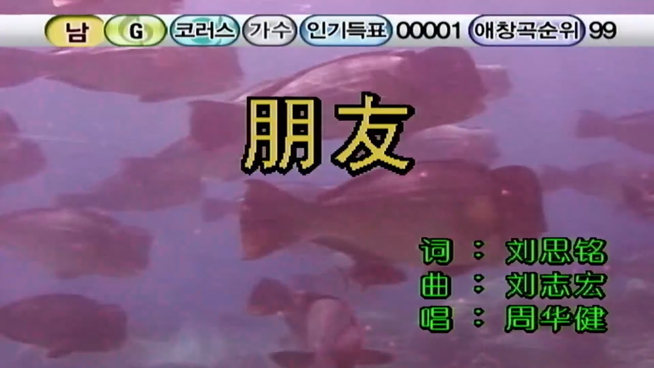 [13283] 周华健 - 朋友 / 金永 Kumyoung 금영