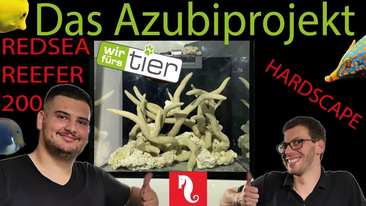 Red Sea / Reefer 200 / Riffaufbau  / Azubiprojekt / WFT