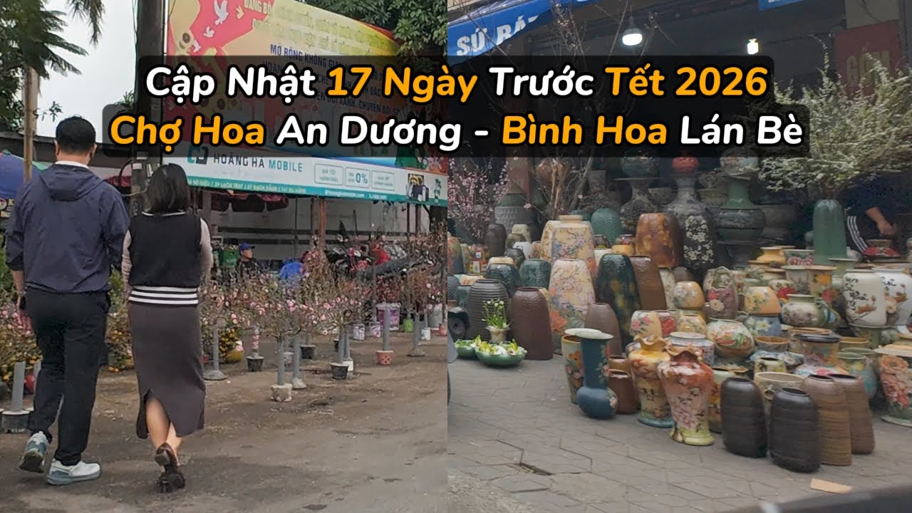 Cập nhật chợ hoa An Dương b&igrave;nh hoa L&aacute;n B&egrave; | 17 ng&agrave;y trước Tết 2026 Hải Ph&ograve;ng